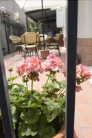 Alojamiento - B&B San Leonardo