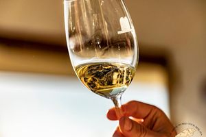 Actividad - Ruta del chacolí en Bilbao con visita al Museo del Txakoli y degustación
