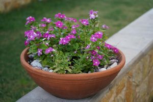 Alojamiento - Ledra Maleme Hotel