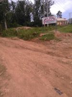 Alojamiento - Eddys Resort