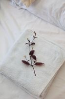 Arriendo temporal - Apartamento 22