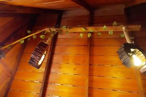 Arriendo temporal - Amazon Private Tours Jungle Lodge