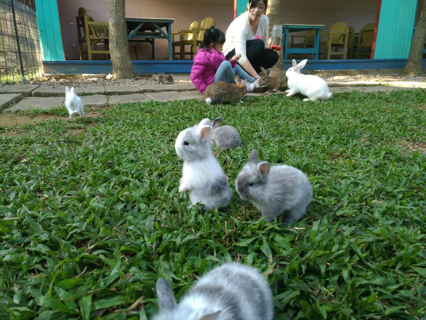 Vista Exterior SHYE Lithuania Homestay