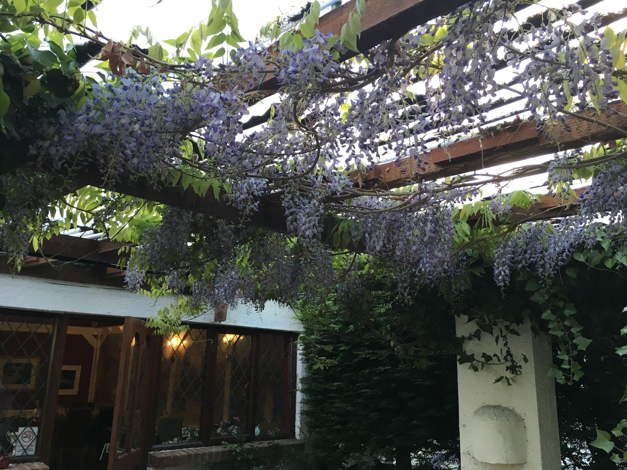 Vista Exterior The Cottage Inn Hotel