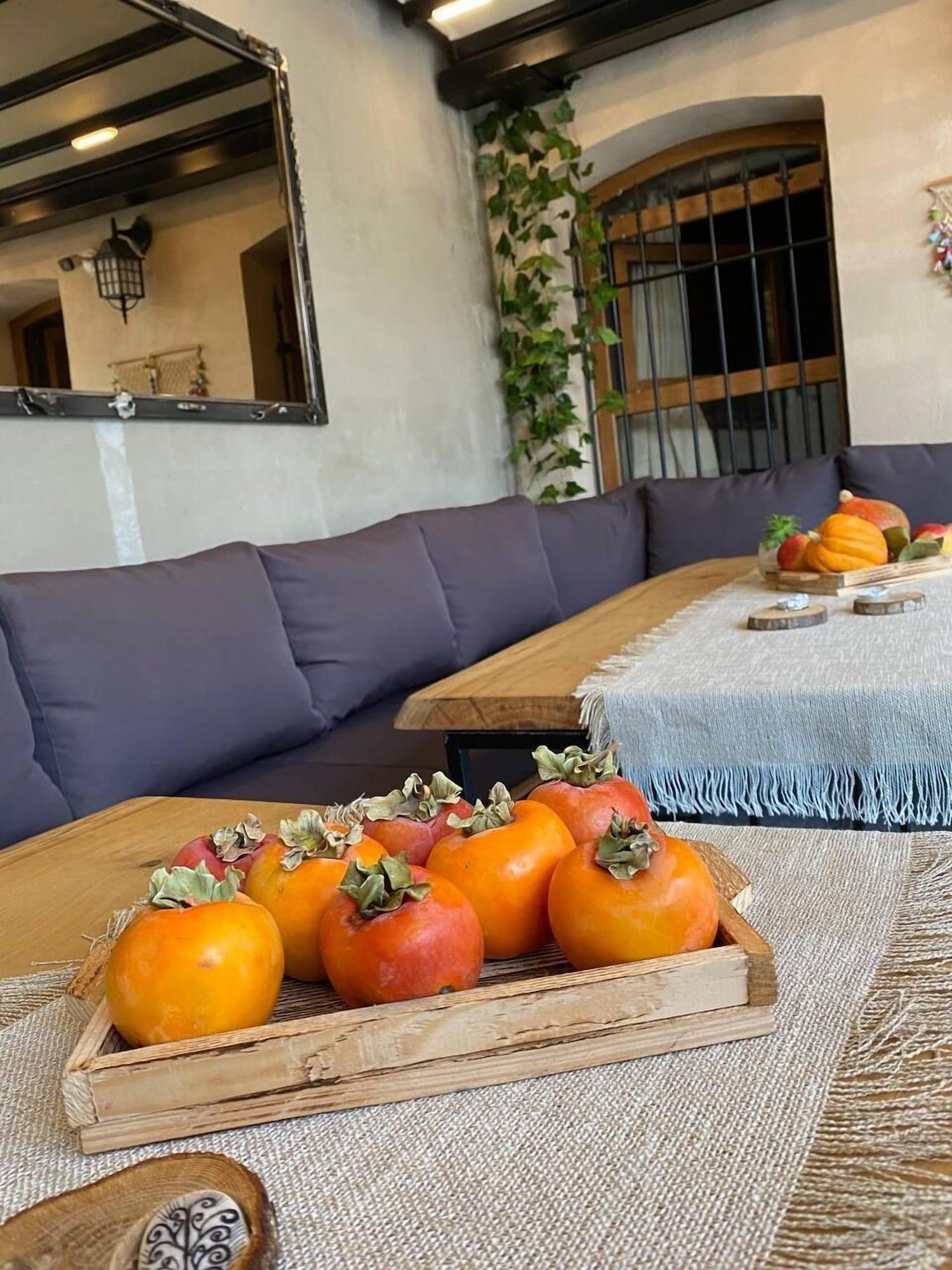 Comodidades del Alojamiento Sofia Konaklama