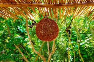 Alquiler Vacacional - Mayan Oasis