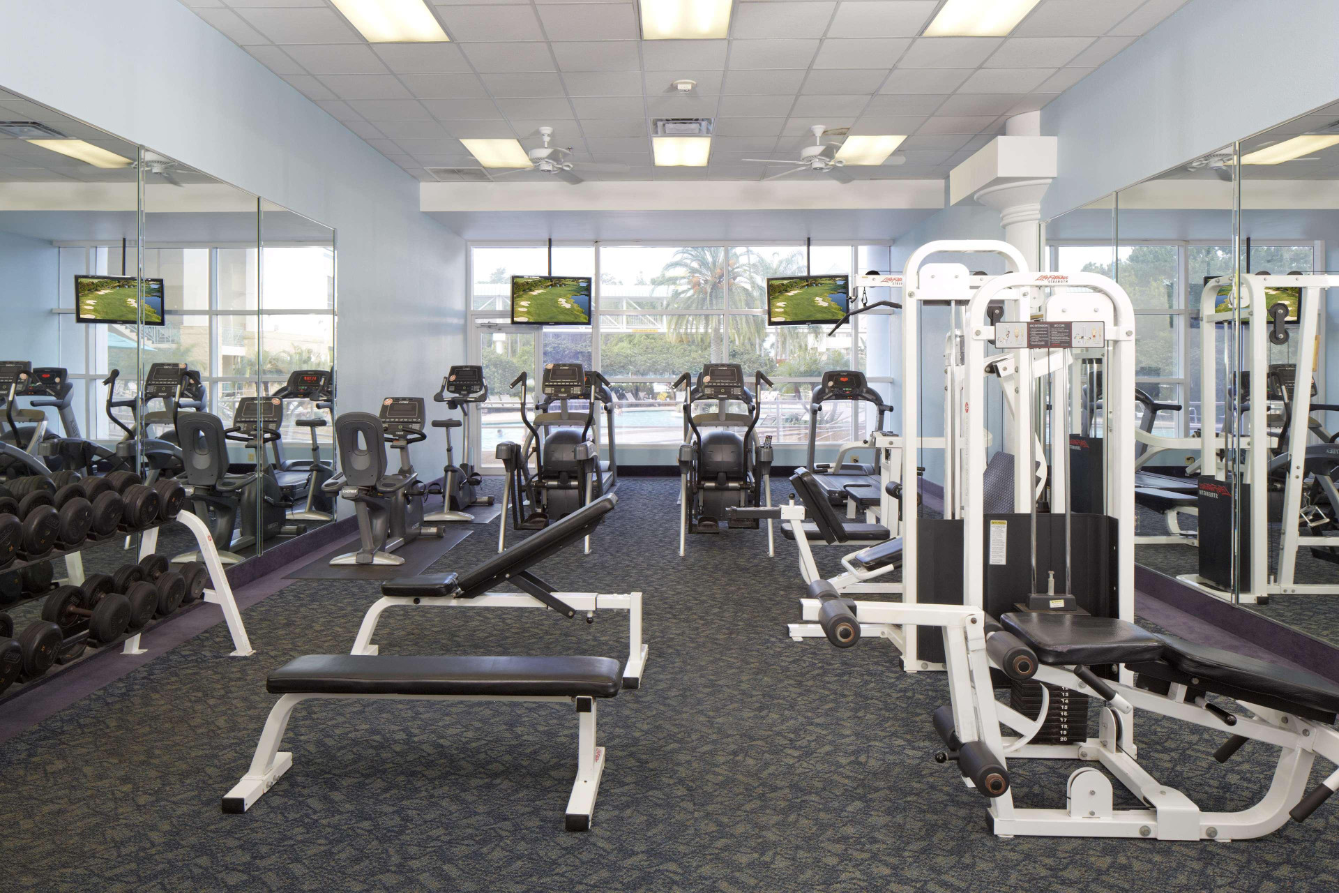 Instalaciones Recreativas  Rosen Plaza Hotel
