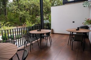 Alojamiento - Forest Boutique