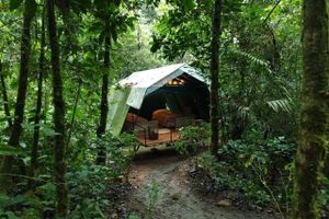 Alojamiento - Hamadryade Lodge
