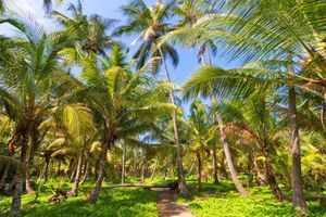 Paquete - Paquetes a Santa Marta
