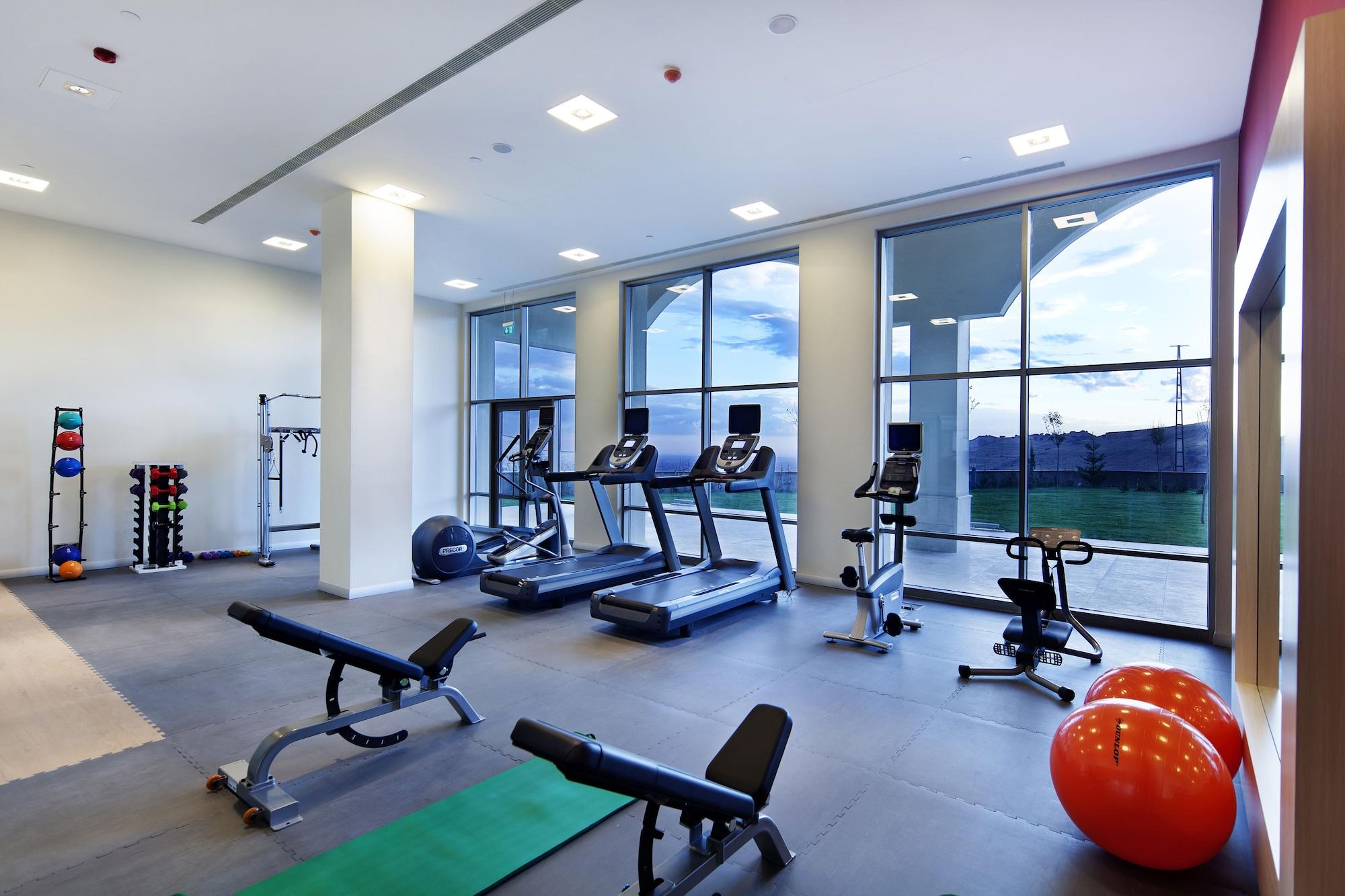Gimnasio Hilton Garden Inn Mardin