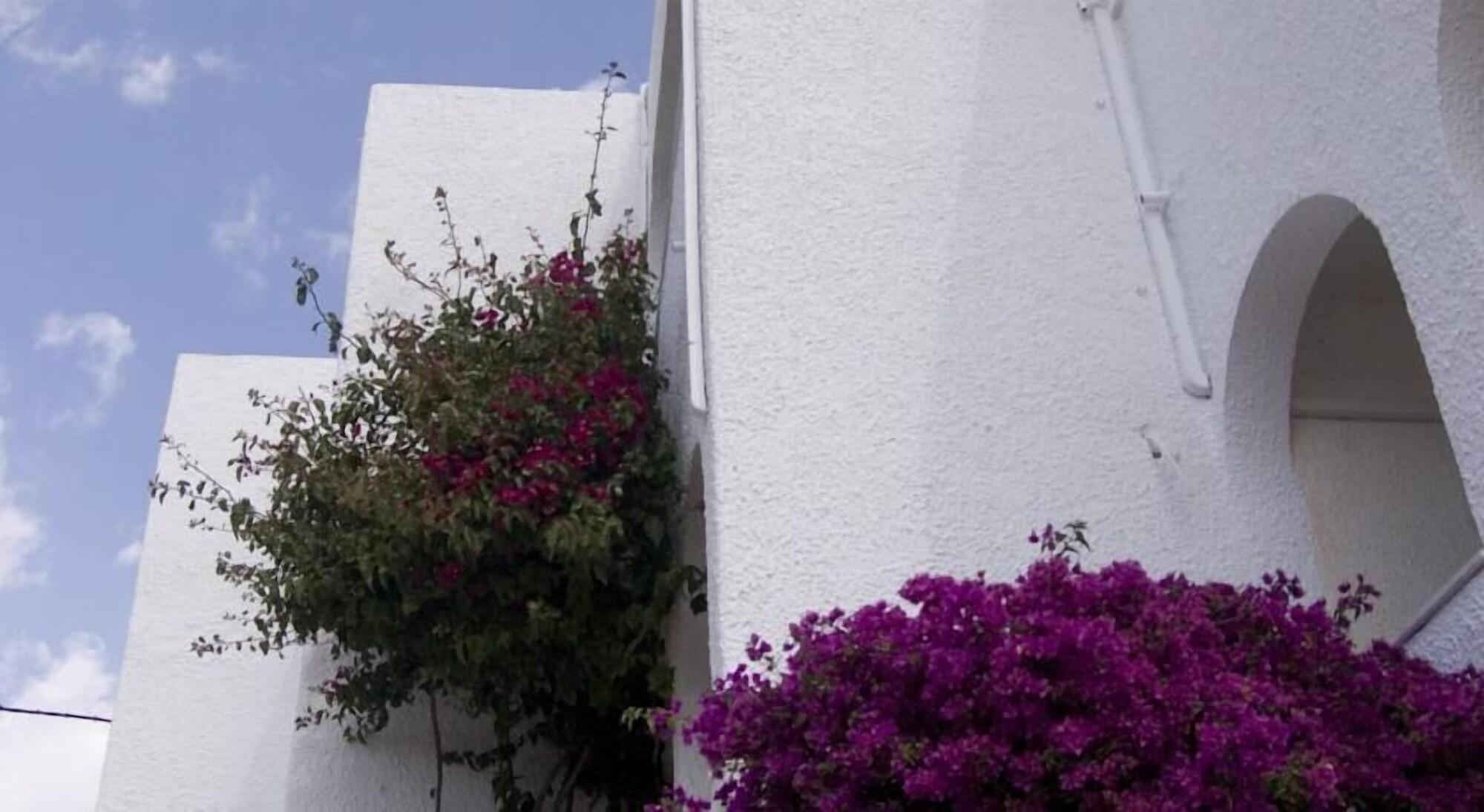 Vista Exterior Hostal Las Gaviotas