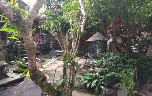 The Hidden Bali Inn