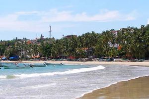 Actividad - Tour Mar y Tierra
