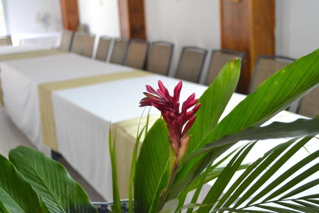 Sala de Reuniones Pacot Breeze