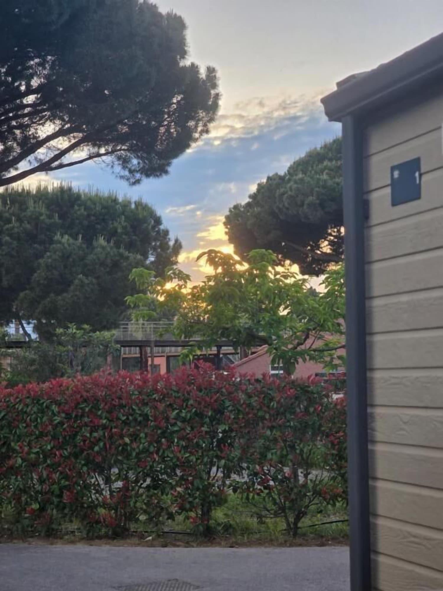 Vista Exterior Domaine du Pas Del Fang