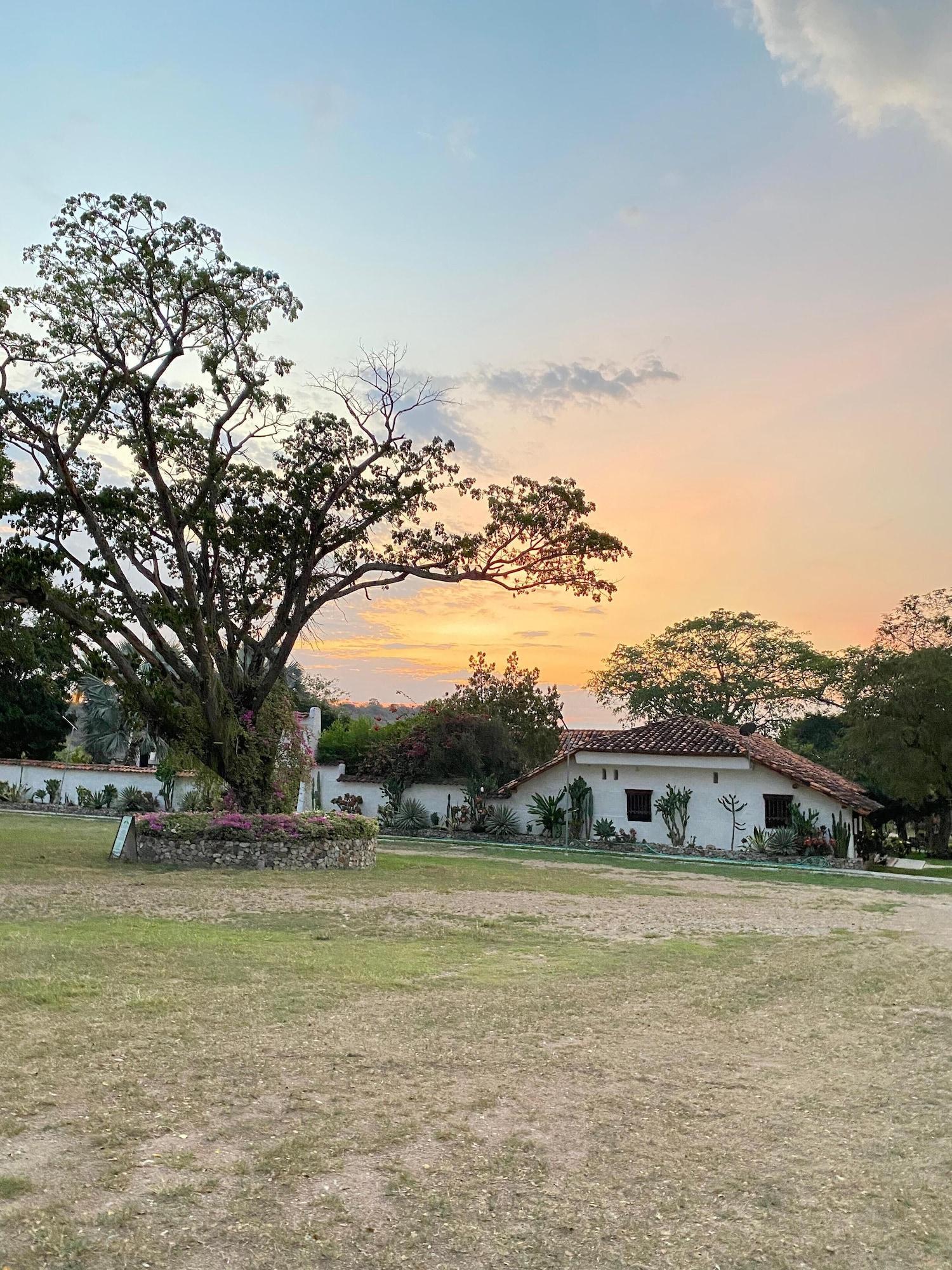 Vista Exterior HOTEL PARQUE LA CASONA