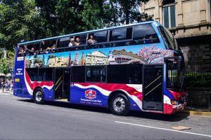 Actividad - Autobús VIP desde San José
