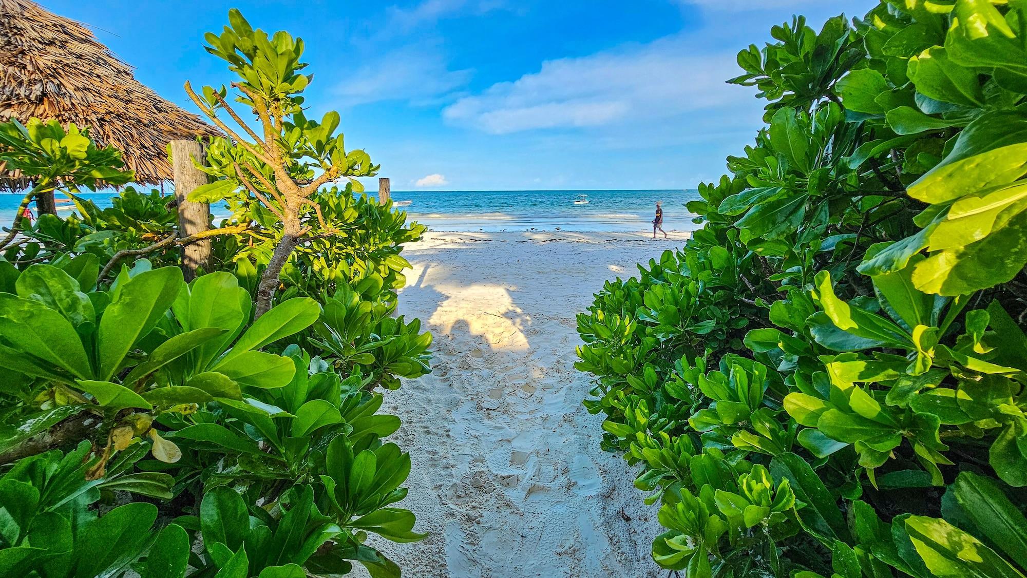 Playa Zoi Retreat Hotel Zanzibar