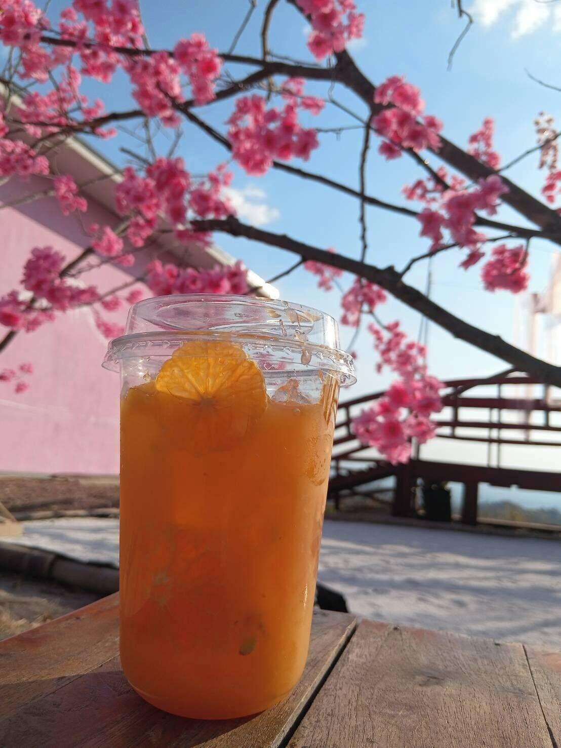 Restaurant PHUTAWAN NAN 1081