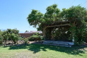 Alojamiento - Loba Luna Bed & Breakfast