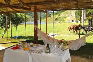 Alojamiento - Fazenda Catucaba