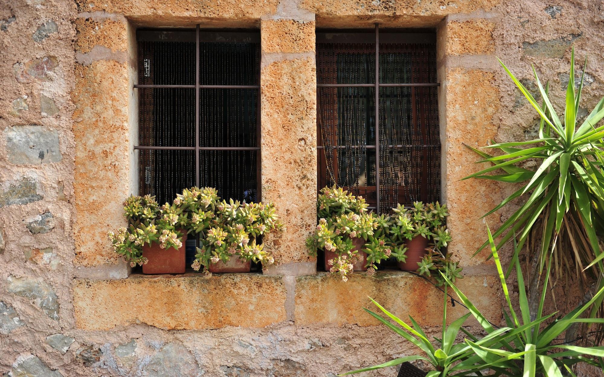 Vista Exterior Finca Ses Cases Noves