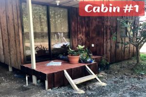 Alquiler Vacacional - MORPHO-Cabañas-Rusticas -Bahía Ballena-Playa Uvita