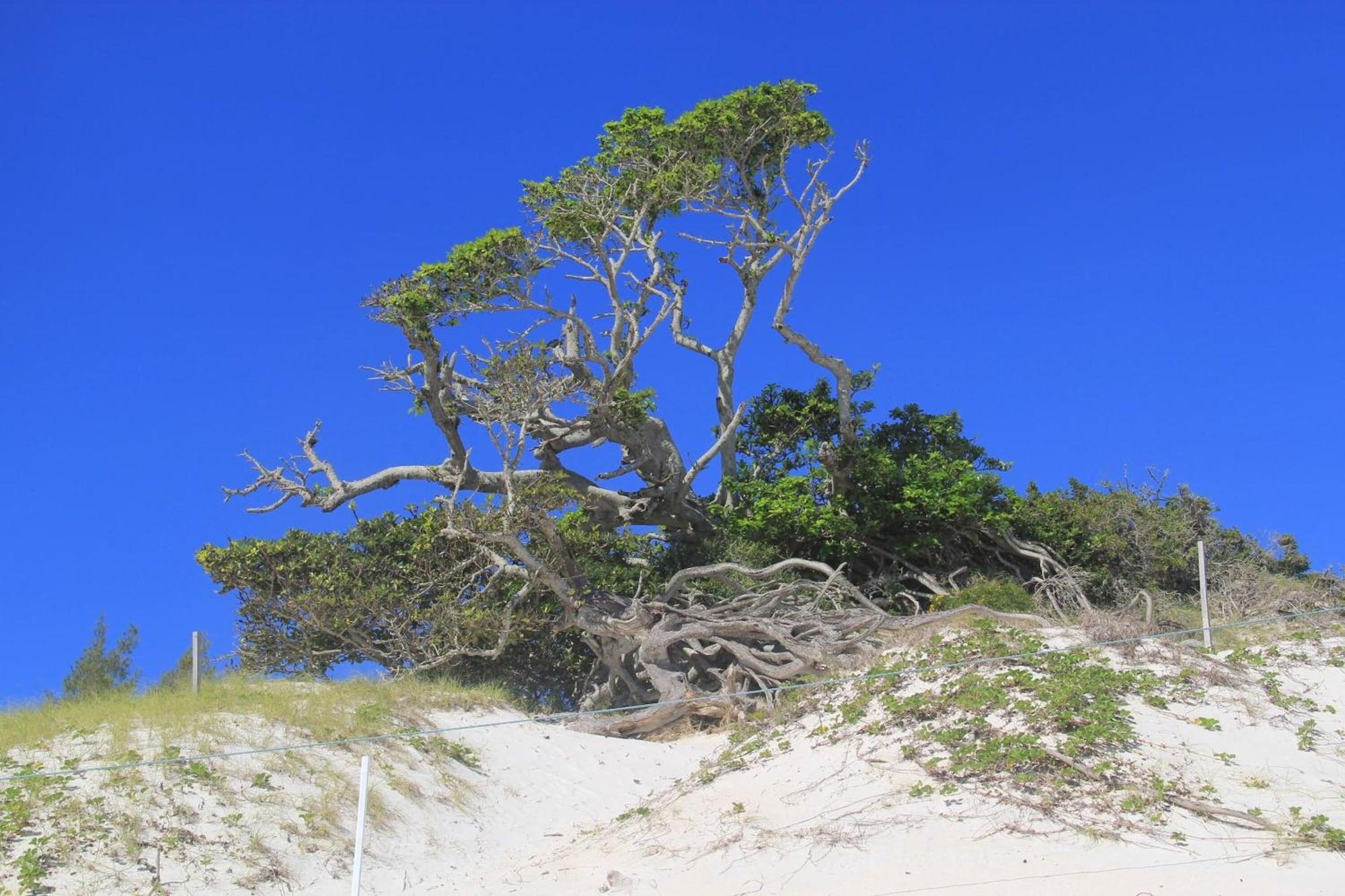 Comodidades del Alojamiento Costa Dourada Pousada