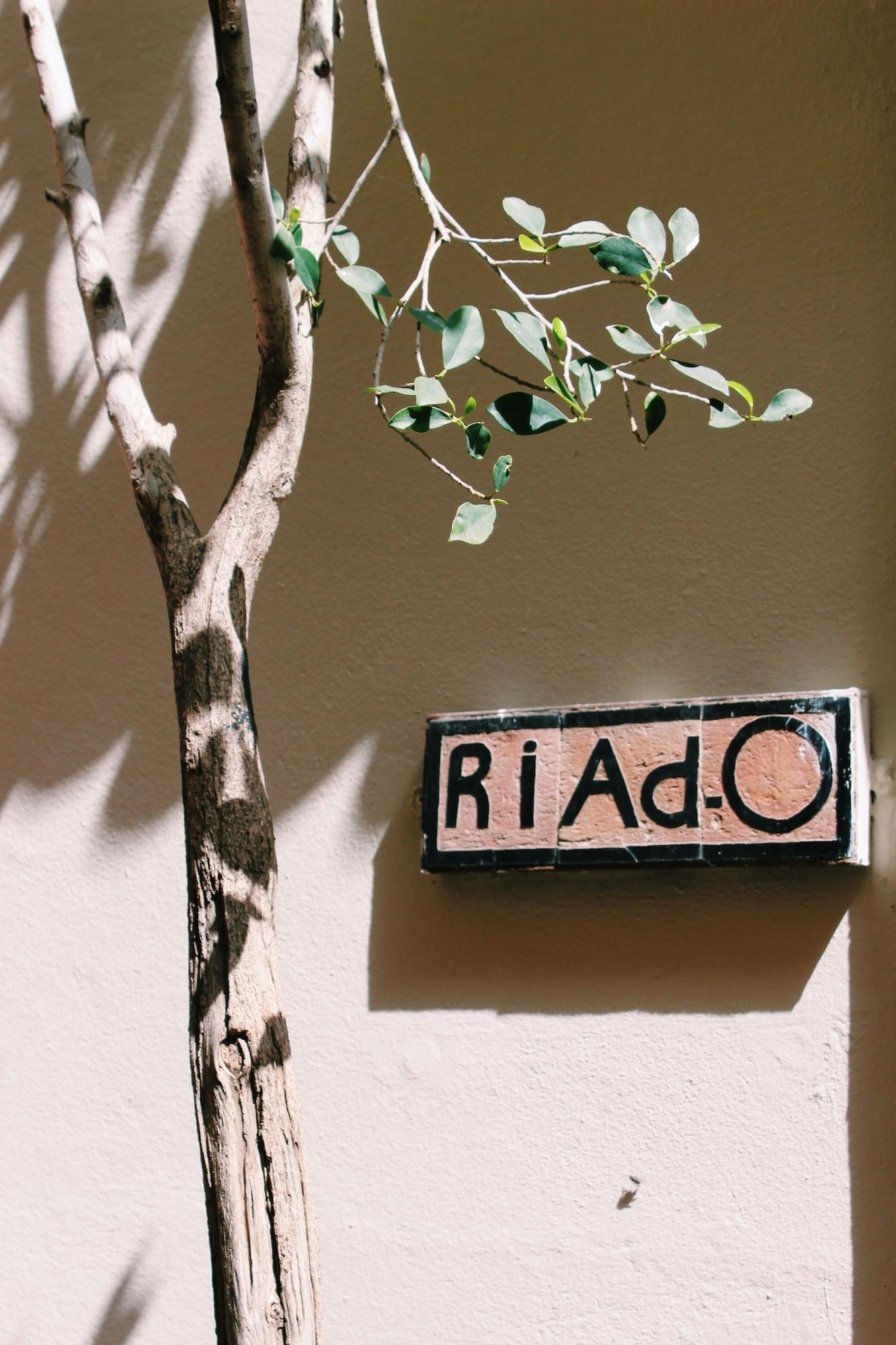Vista Exterior Riad O