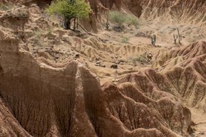 Actividad - Senderismo por Las Cárcavas de Villa de Leyva