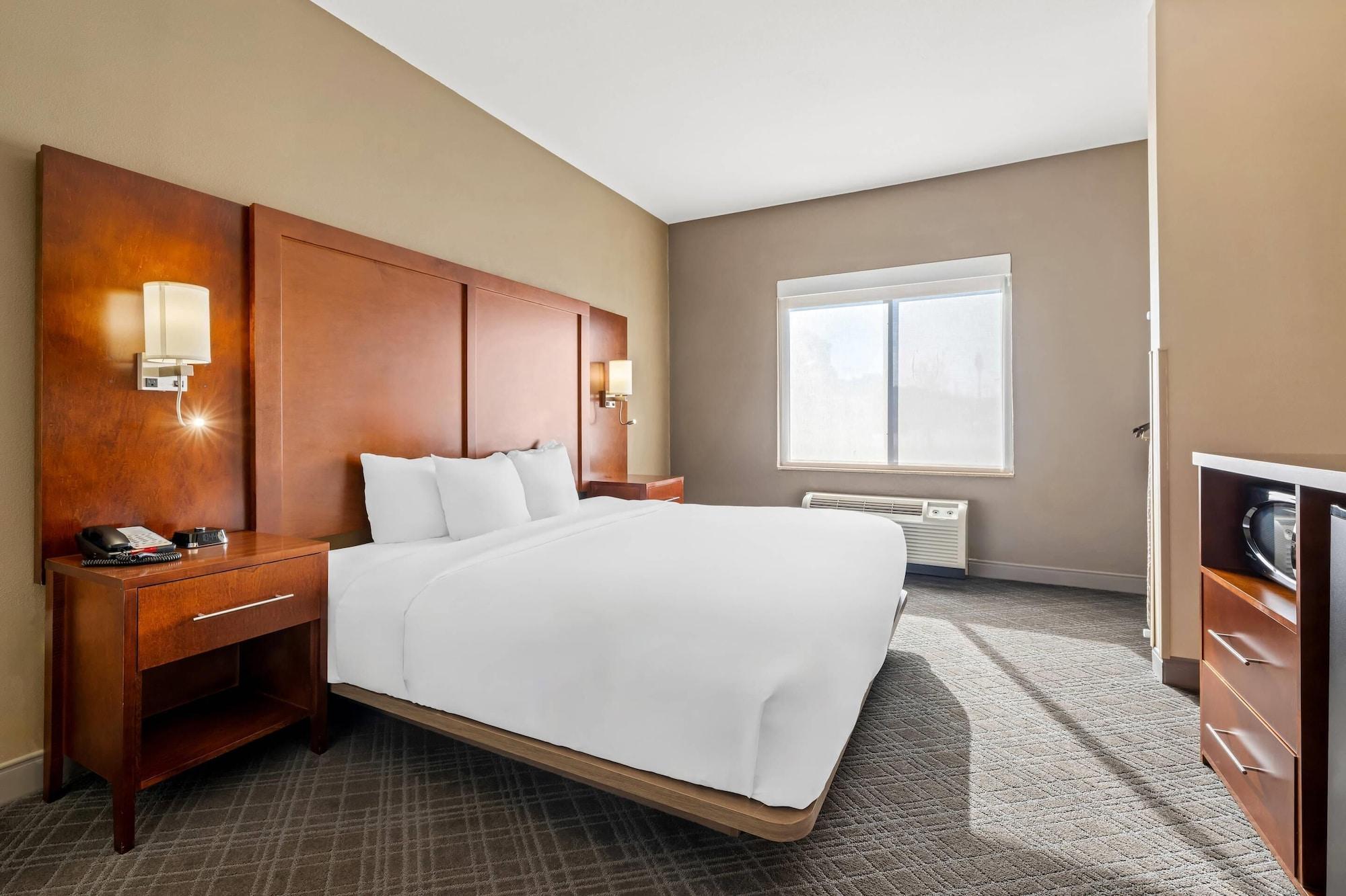 Habitación Comfort Suites Cullman I-65 Exit 310