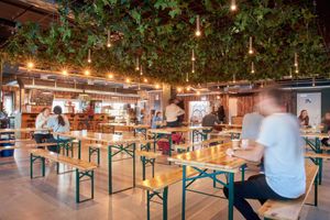 Alojamiento - Urban Camper Hostel