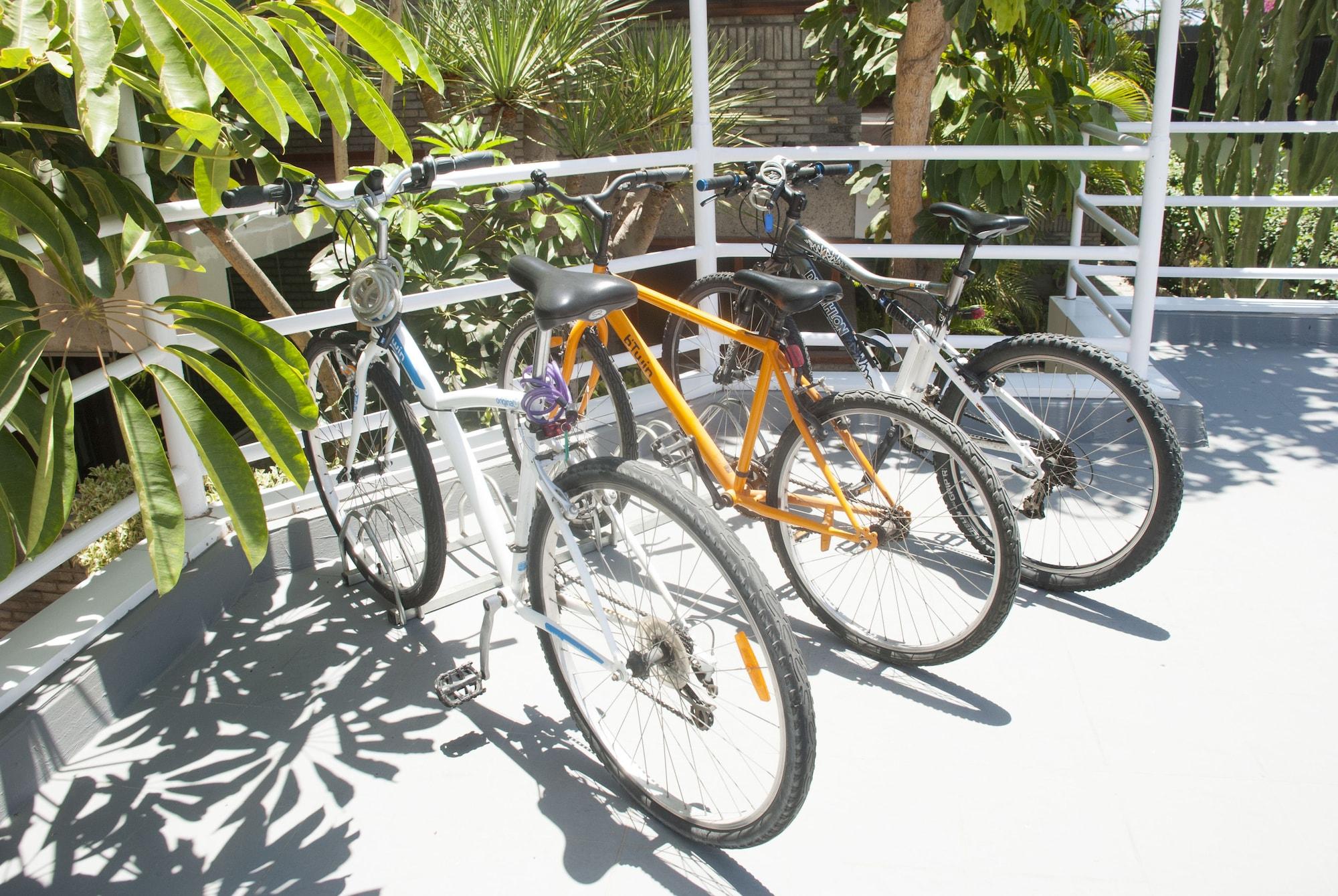 Varios Apartamentos El Paseo