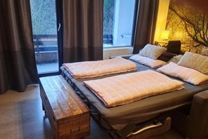 Alquiler Vacacional - Studio in Winterberg Near Ski Slopes