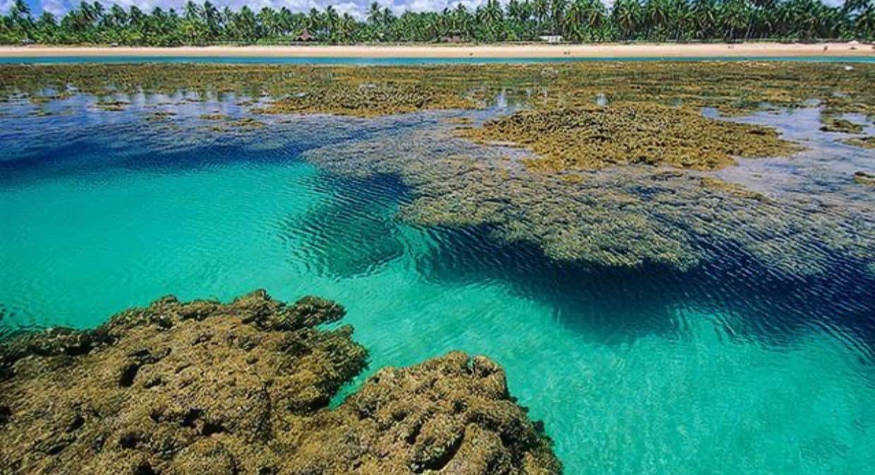 Playa Carpe Diem Suítes