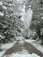 Arriendo temporal - The most Charming cottage in the U.P. with 4 bedrooms & WiFi, on Lake Milakokia