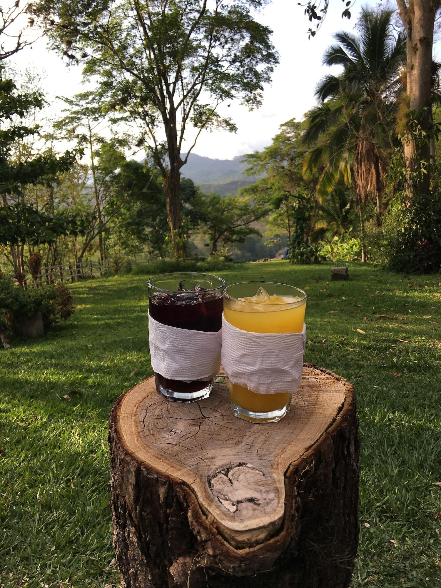 Bar/Salón Hotel Hacienda San Lucas
