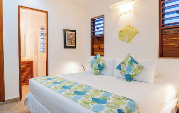 Ocean Walk Casita at Private Beach. Snorkels, Kayaks, Paddleboards Included - Hoteles cerca de Playa Las Palmas en Tulum