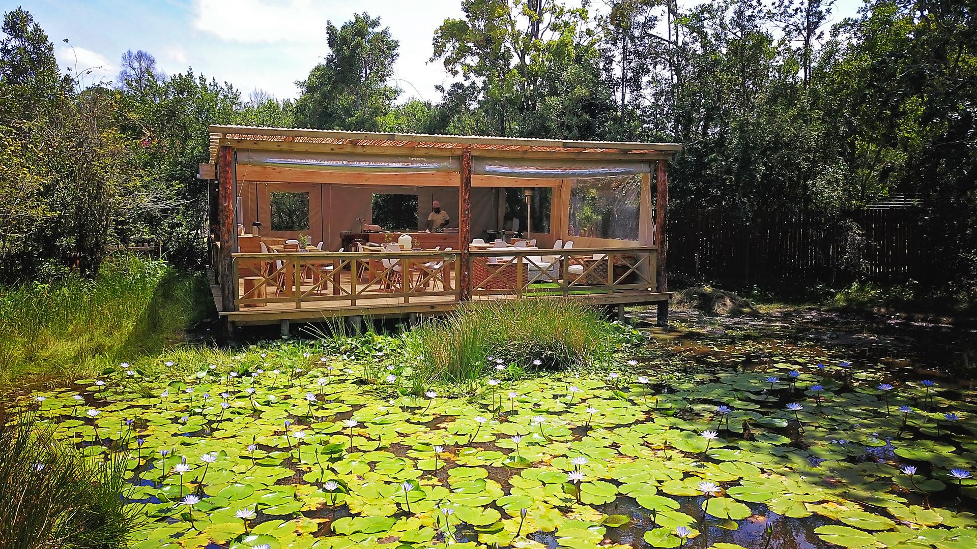 Restaurant Forest Edge Nature Lovers' Retreat