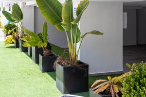 Alojamiento - Carihuela Suites