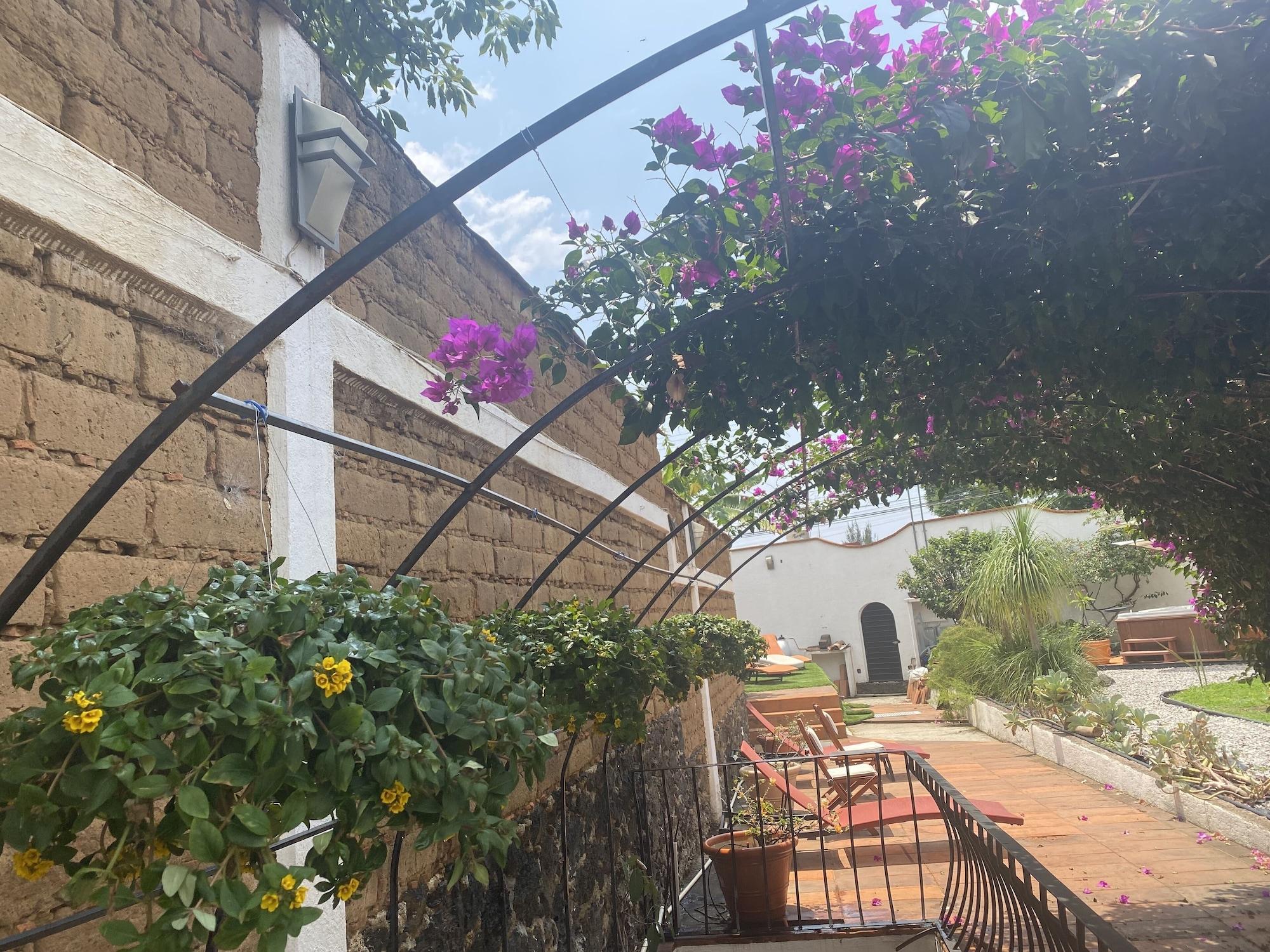 Comodidades del Alojamiento Colibrí Hotel