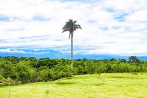 Alojamiento - Hotel Quindío Campestre