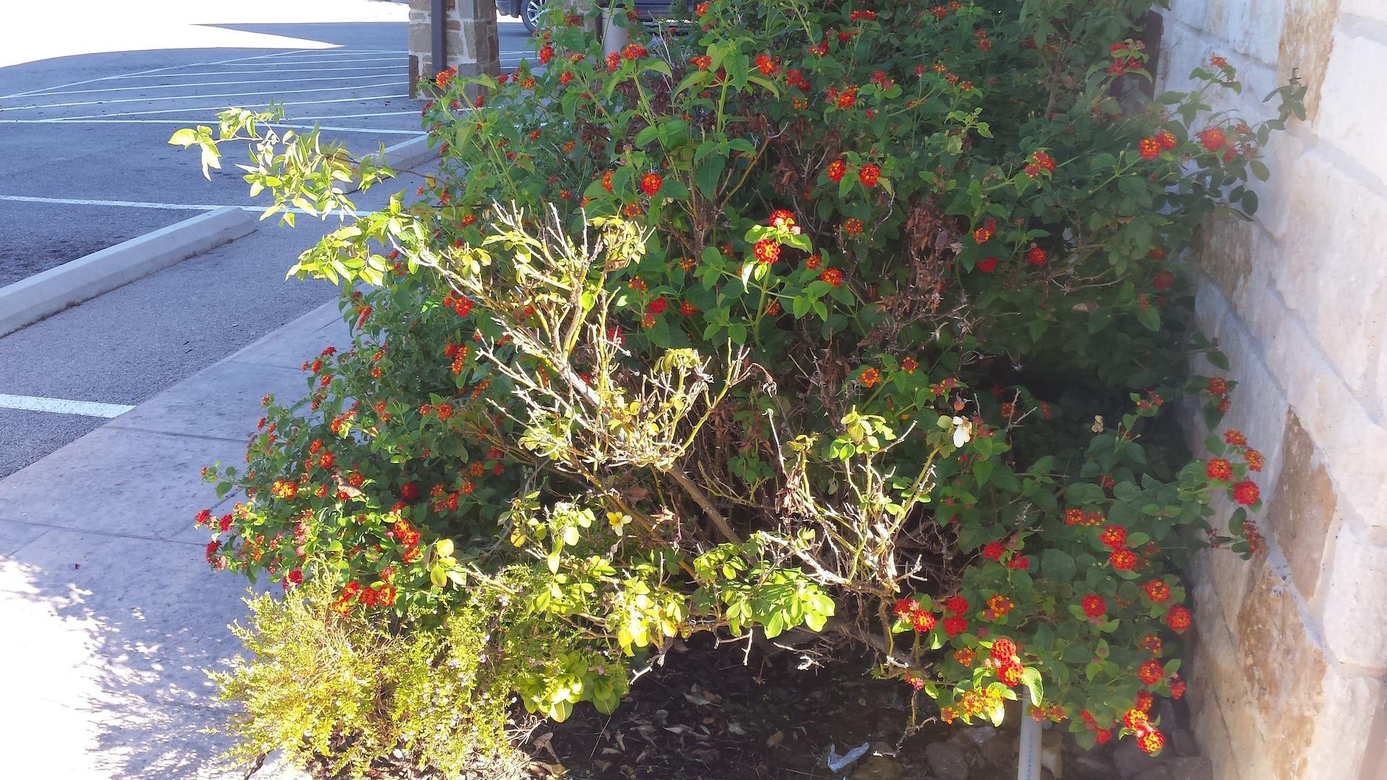 Instalaciones Recreativas Black Gold Inn