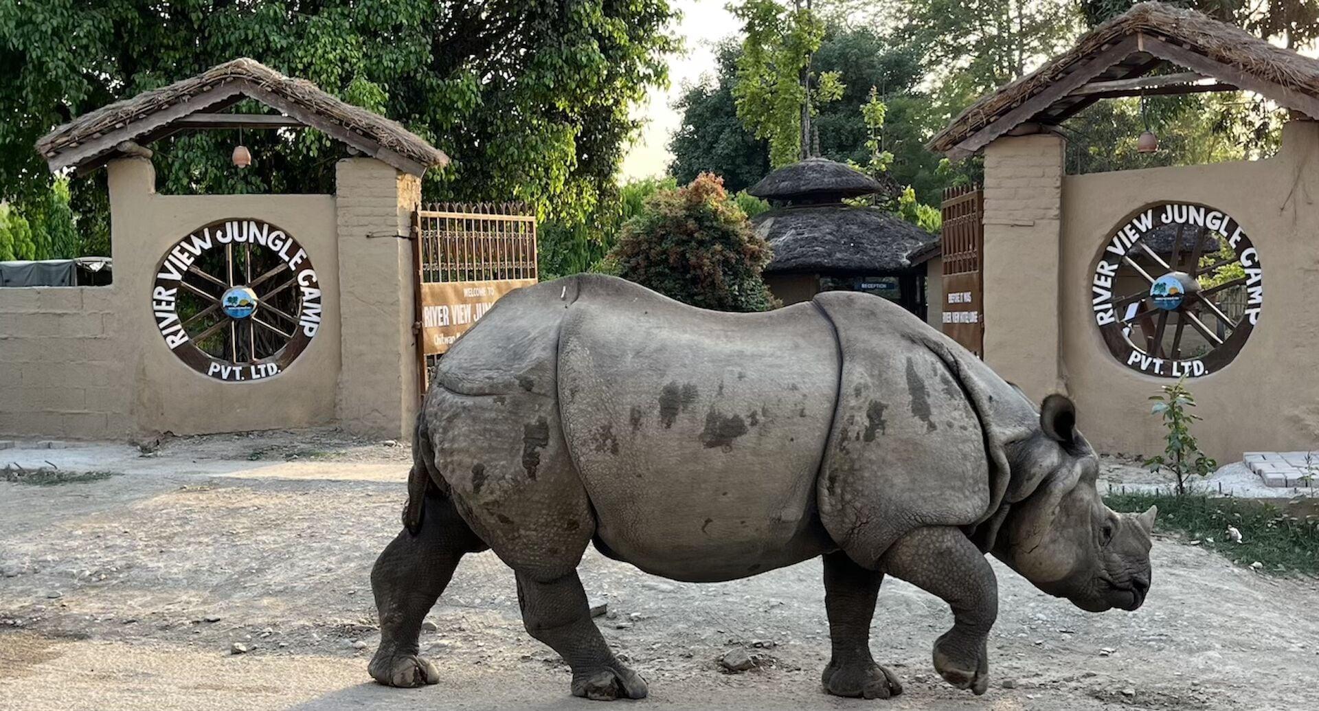 Varios River View Jungle Camp