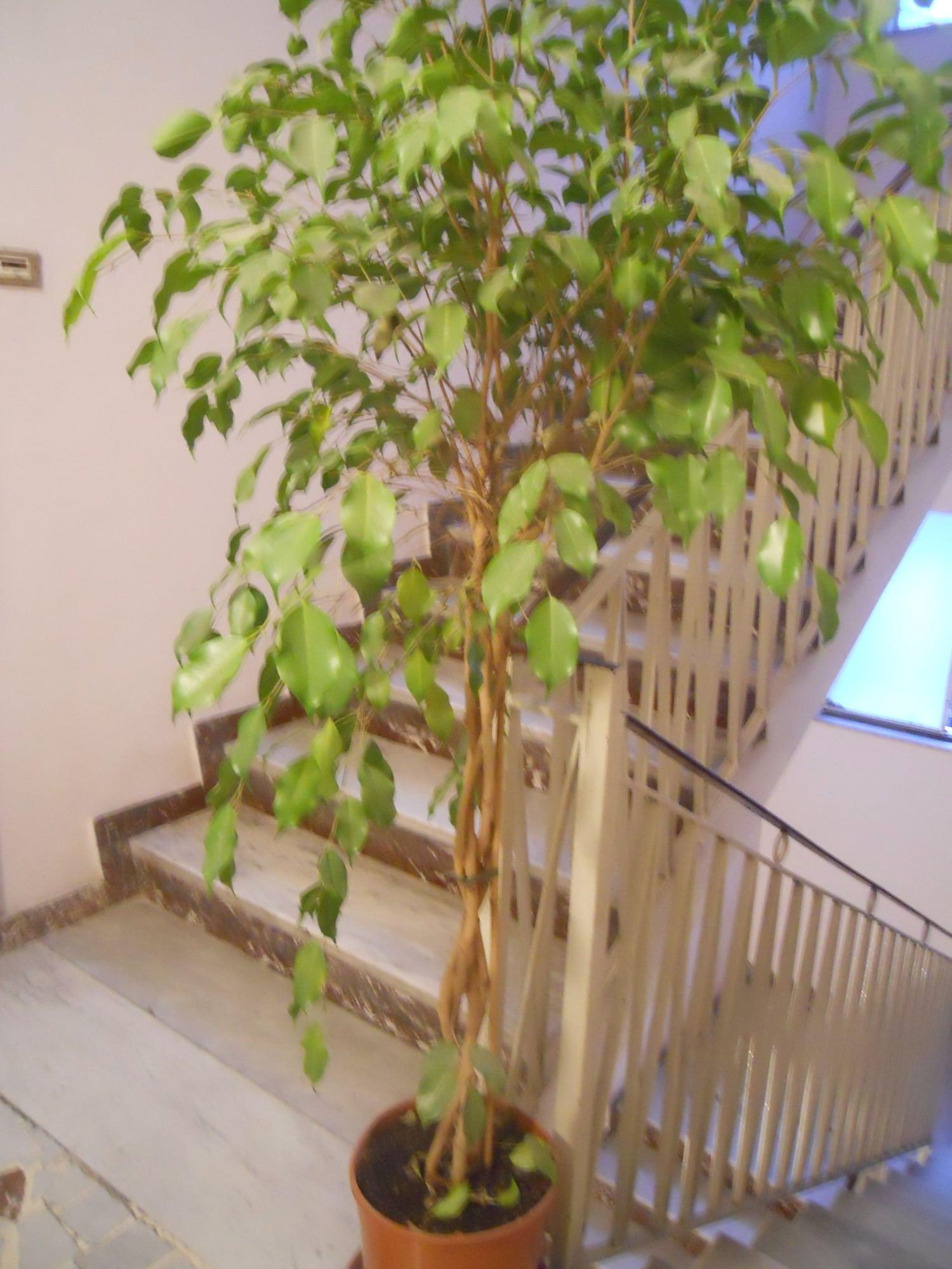 Comodidades del Alojamiento Catania Crossing B&B Rooms and Comforts