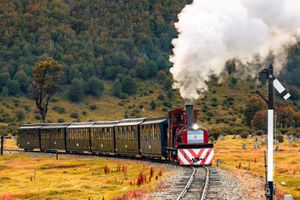 Actividad - Tour Parque Nacional TDF + Tren Fin del Mundo