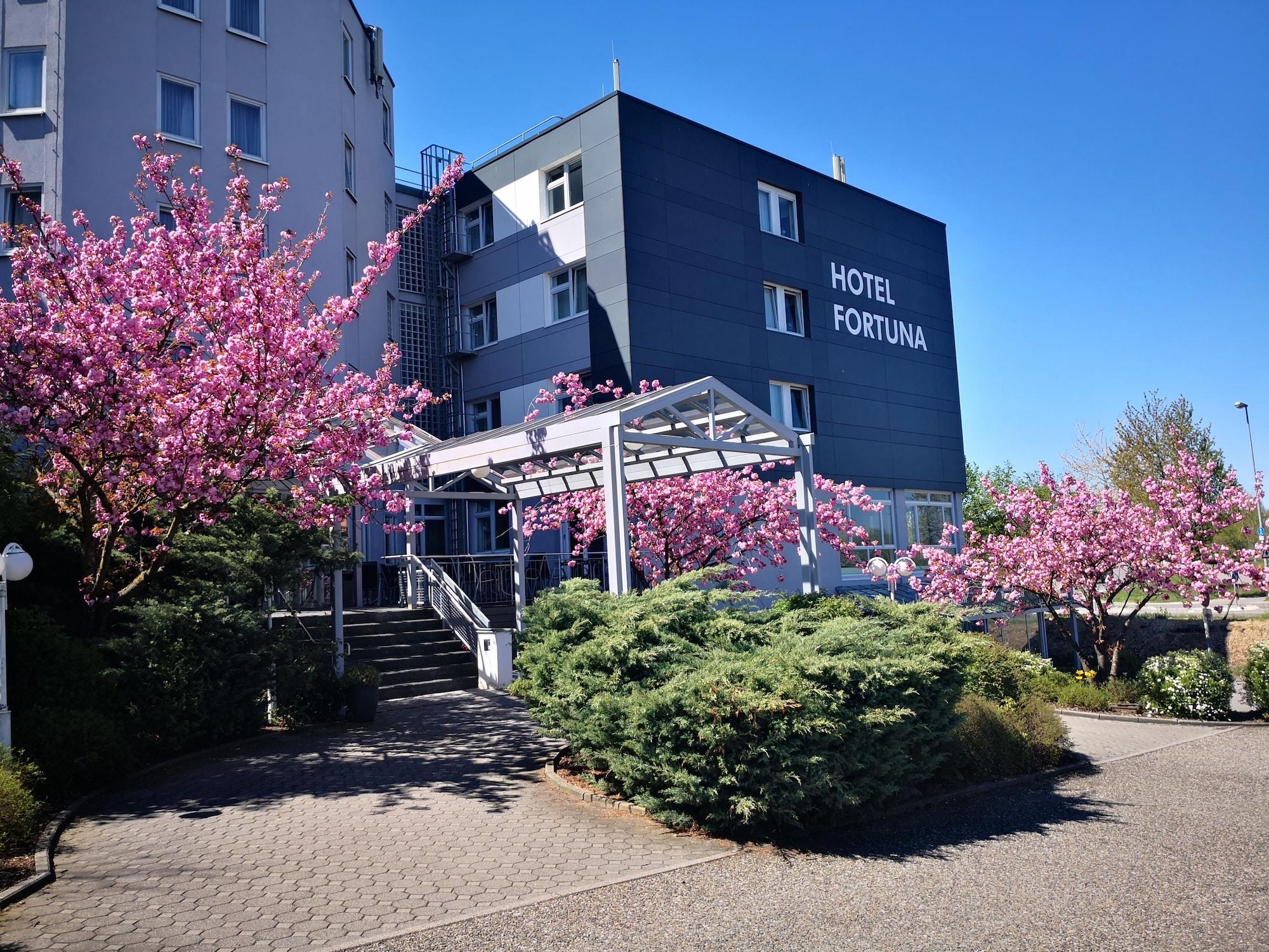 Vista Exterior Hotel Fortuna