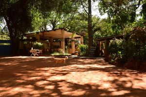 Alojamiento - Shoestrings Backpackers & Bar
