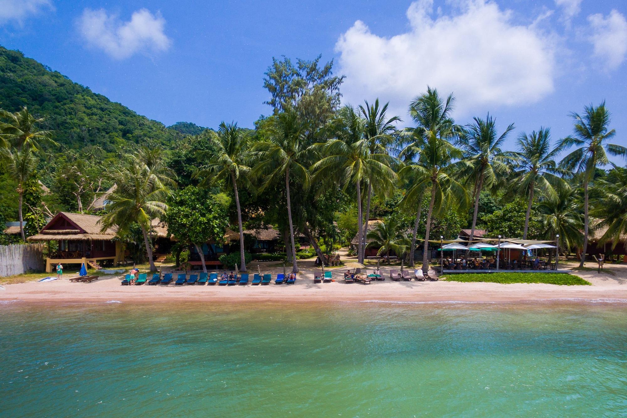 Comodidades del Alojamiento Palm Leaf Resort